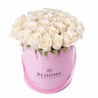 Read New Jersey Blooms Reviews